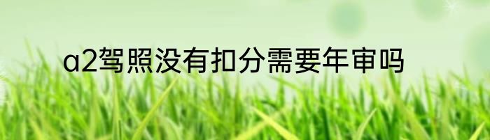 a2驾照没有扣分需要年审吗