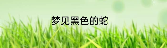 梦见黑色的蛇
