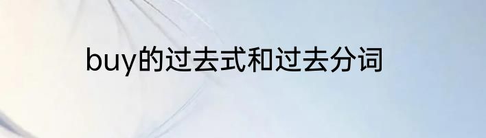 buy的过去式和过去分词