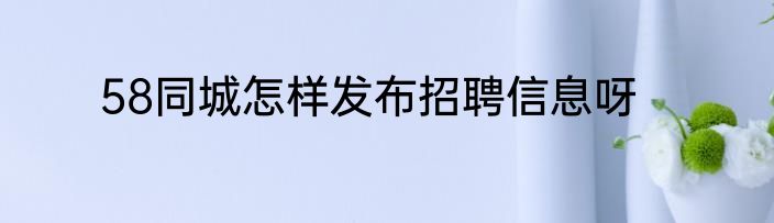 58同城怎样发布招聘信息呀