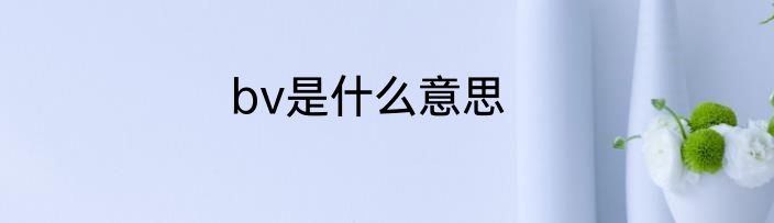 bv是什么意思