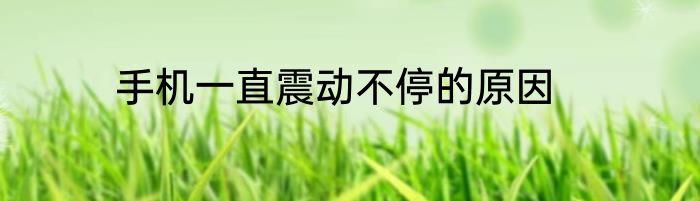 手机一直震动不停的原因