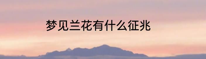 梦见兰花有什么征兆