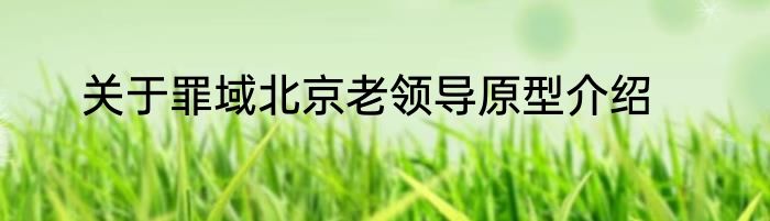 关于罪域北京老领导原型介绍