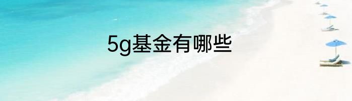 5g基金有哪些