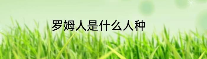 罗姆人是什么人种