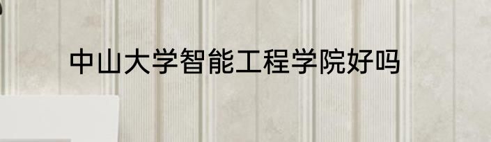 中山大学智能工程学院好吗