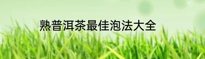 熟普洱茶最佳泡法大全