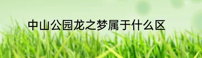 中山公园龙之梦属于什么区