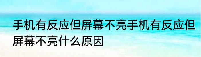 手机有反应但屏幕不亮手机有反应但屏幕不亮什么原因