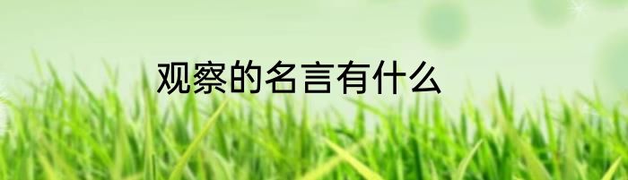 观察的名言有什么