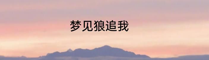 梦见狼追我