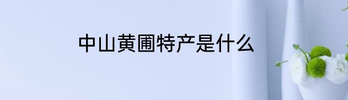 中山黄圃特产是什么
