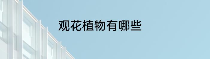 观花植物有哪些