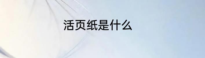 活页纸是什么