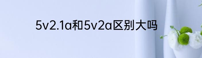5v2.1a和5v2a区别大吗