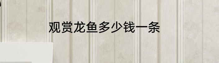 观赏龙鱼多少钱一条