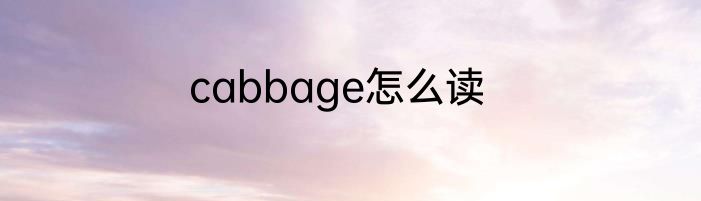 cabbage怎么读