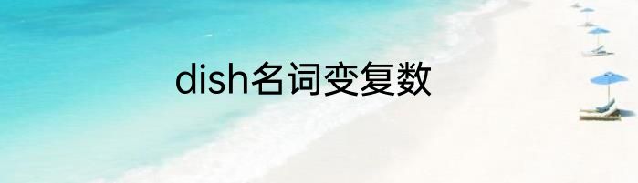 dish名词变复数