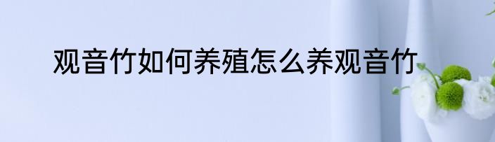 观音竹如何养殖怎么养观音竹