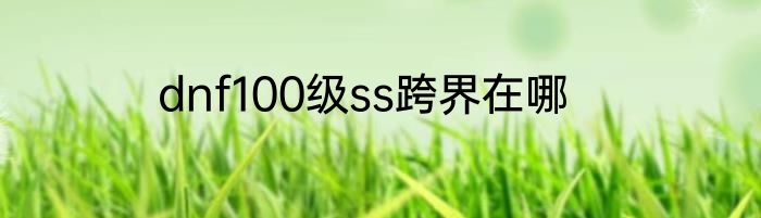 dnf100级ss跨界在哪
