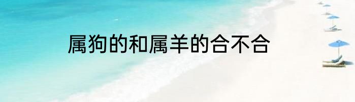 属狗的和属羊的合不合