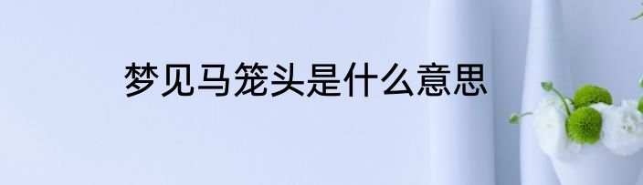 梦见马笼头是什么意思