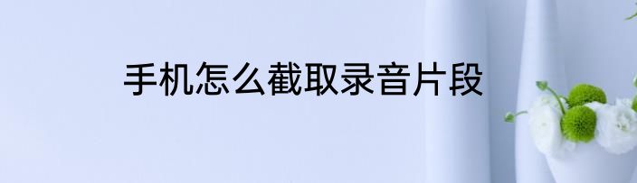 手机怎么截取录音片段
