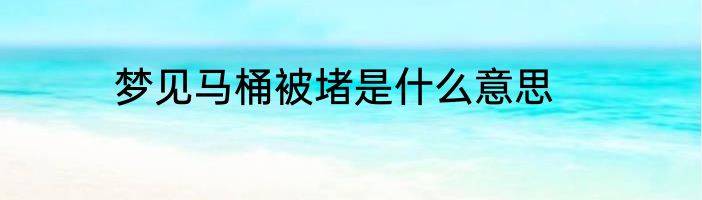 梦见马桶被堵是什么意思