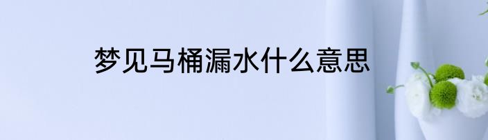 梦见马桶漏水什么意思