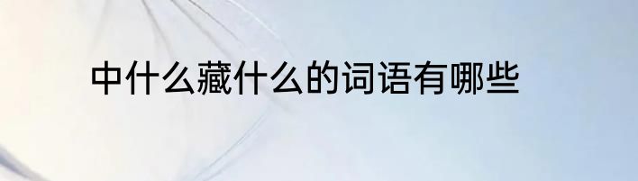 中什么藏什么的词语有哪些