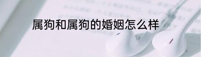 属狗和属狗的婚姻怎么样