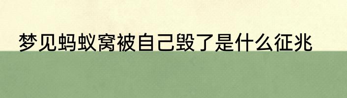梦见蚂蚁窝被自己毁了是什么征兆