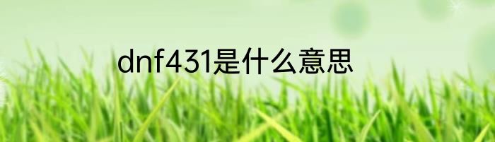 dnf431是什么意思