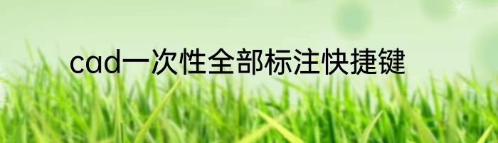 cad一次性全部标注快捷键