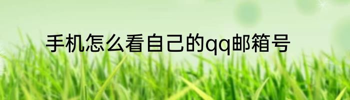 手机怎么看自己的qq邮箱号
