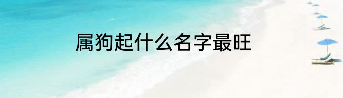 属狗起什么名字最旺