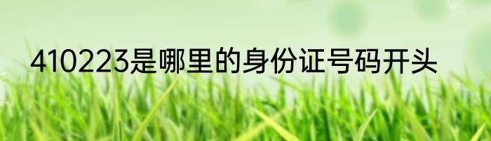 410223是哪里的身份证号码开头