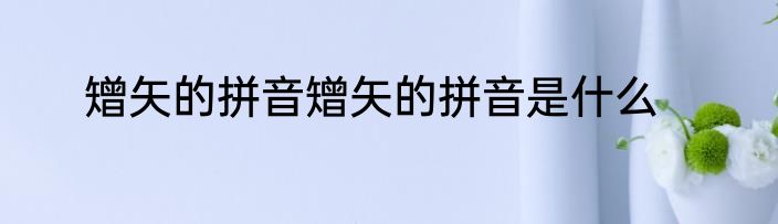 矰矢的拼音矰矢的拼音是什么