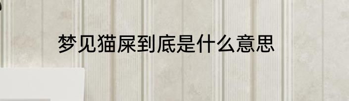梦见猫屎到底是什么意思