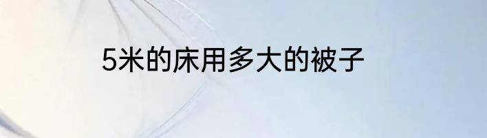 5米的床用多大的被子