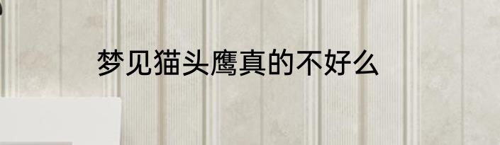 梦见猫头鹰真的不好么