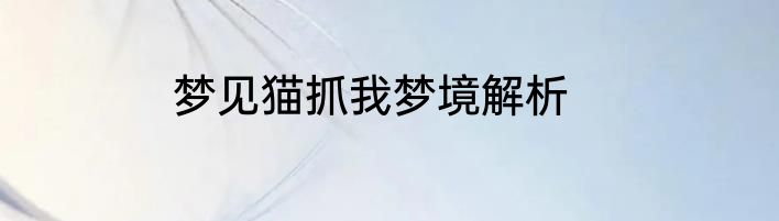 梦见猫抓我梦境解析