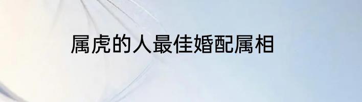 属虎的人最佳婚配属相