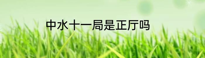 中水十一局是正厅吗