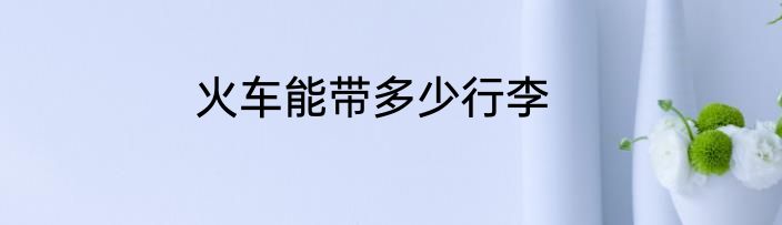 火车能带多少行李