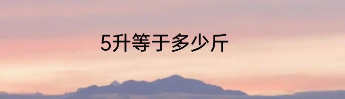 5升等于多少斤
