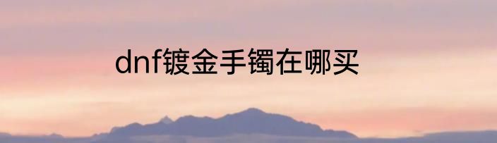 dnf镀金手镯在哪买