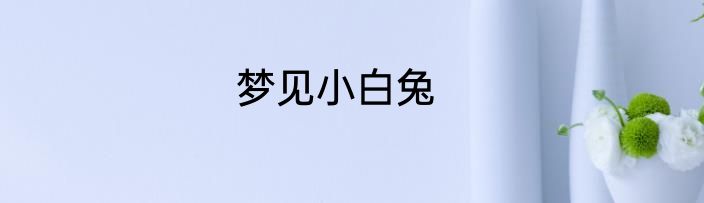 梦见小白兔