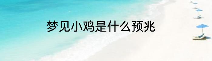梦见小鸡是什么预兆